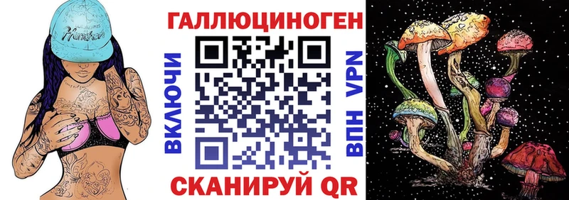 Купить  Аркадак  Галлюциногенные грибы GOLDEN TEACHER 
