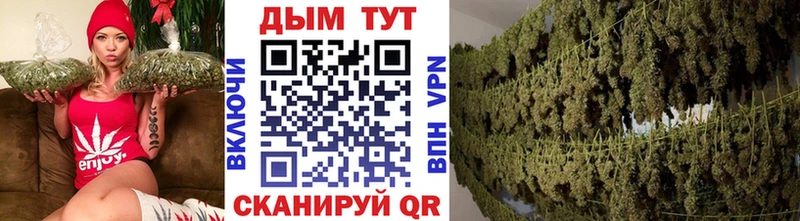 Купить где  Аркадак  Канабис планчик 